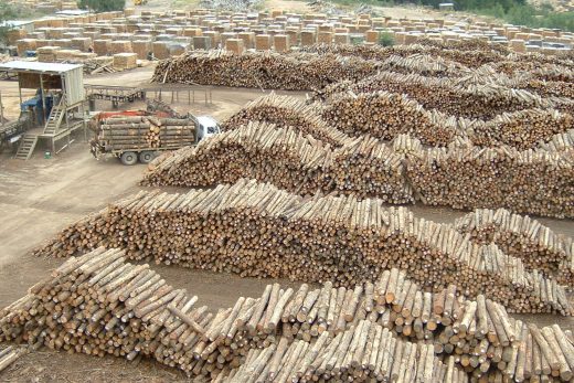 Geelhoutvlei Timbers
