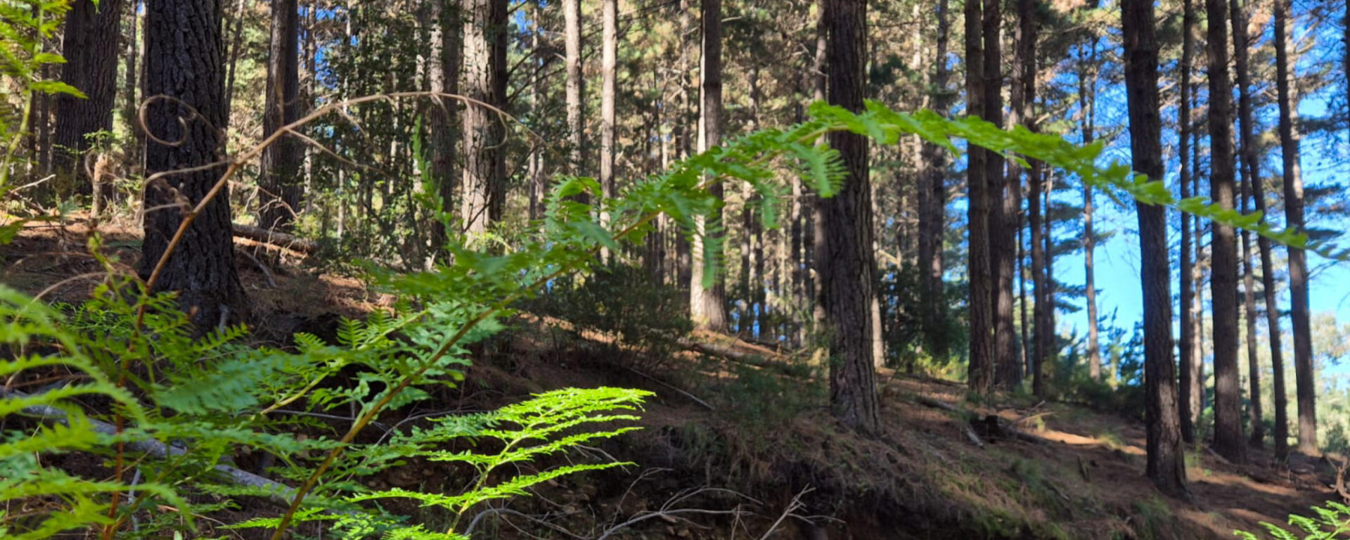 home_header1