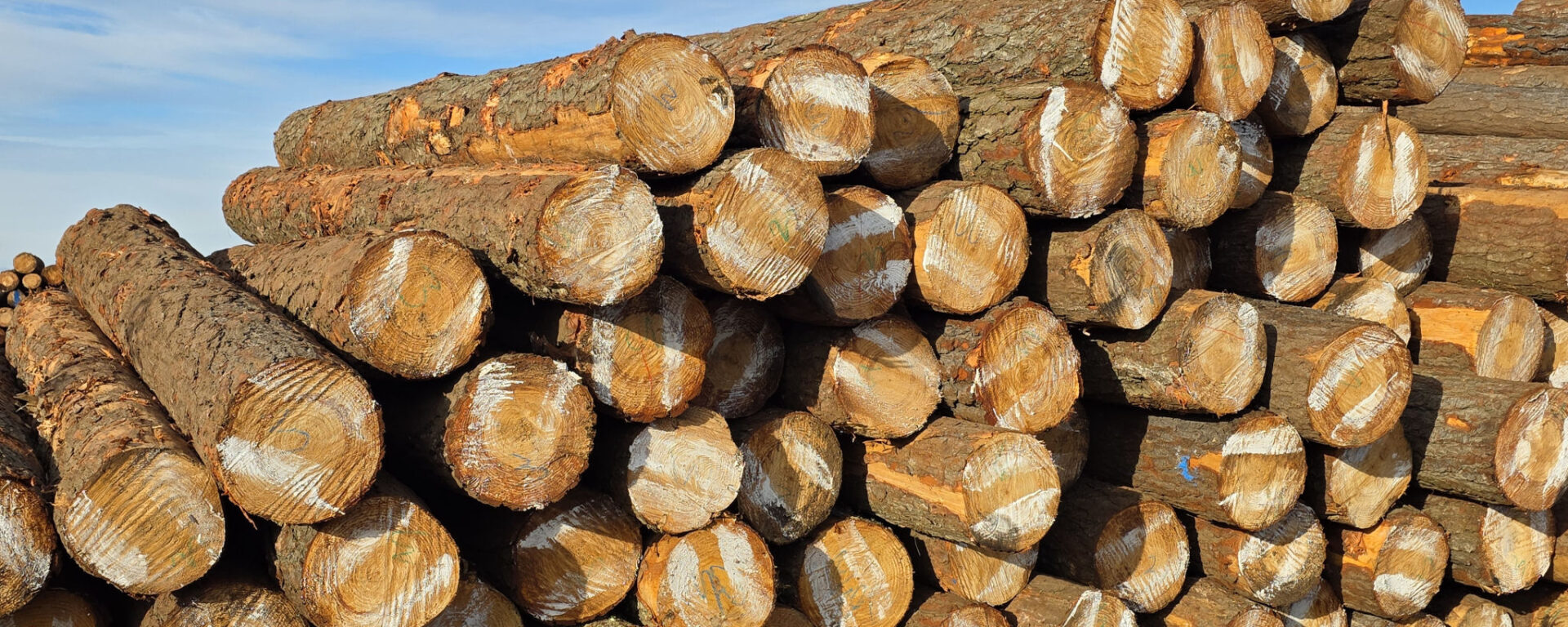 Geelhoutvlei Timbers
